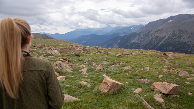 a young woman watches a marmot from a distance