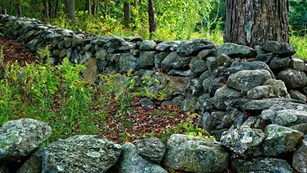 Stone walls amidst lush greenery, image by Xiomaro