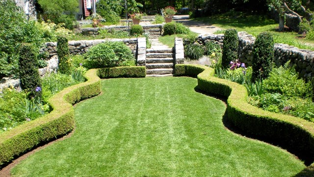 A small green meadow with a stone wall and green shrubs surrounding it.