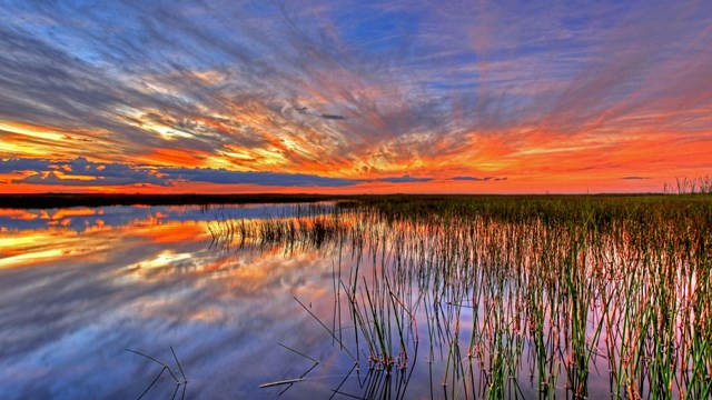 Everglades National Park at sunset.
