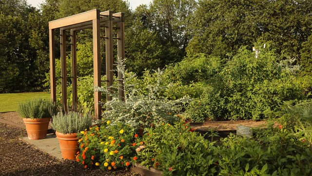 A square arch stands at the entrance of a vegetable garden.