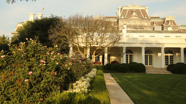 A row of flowering plants leads to the Oval Office.