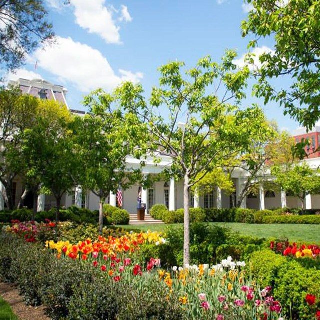 A scenic shot of the White House gardens. 