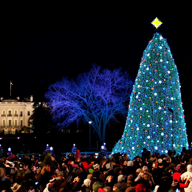 The National Christmas Tree lit at night with The White House illuminated in the background