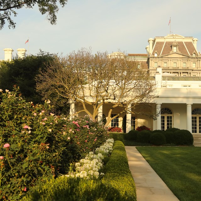 A row of flowering plants leads to the Oval Office.