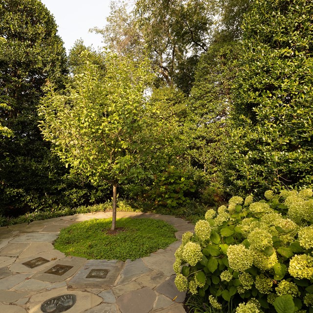 A small plaza with flowers and trees.