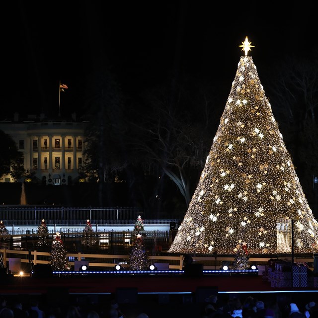 a large decorated and light Christmas tree, with the White House in the background