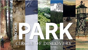 Volcanoes - crystal clear lakes - caves - gigantic trees - explore the history and natural wonders!