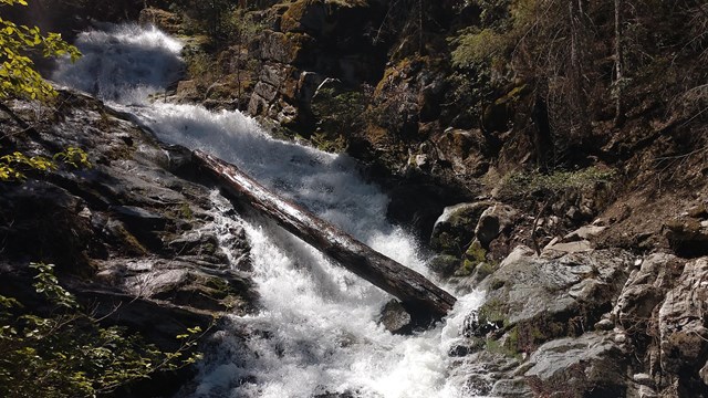 Whiskeytown Falls Trail 