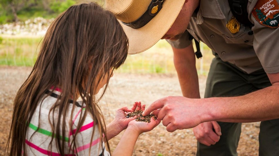 A young visitor with long brown hair holding sand in her hands while a park ranger investigates.