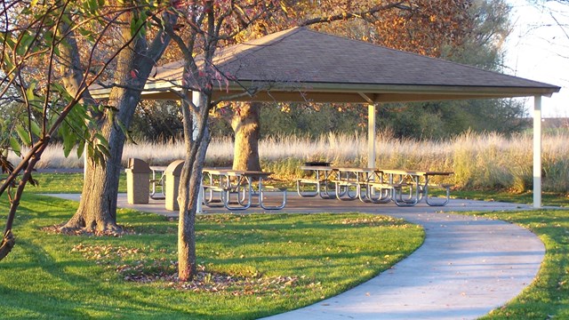 A sidewalk curves to a shelter with picnic tables and trees with orange leaves