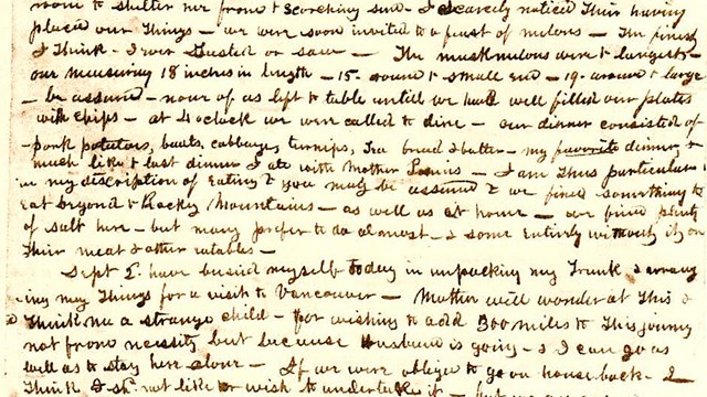 handwritten document on a page yellow with age