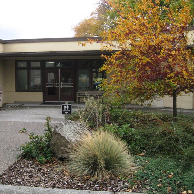 A building entrance with a short tree with color changing leaves outside the door