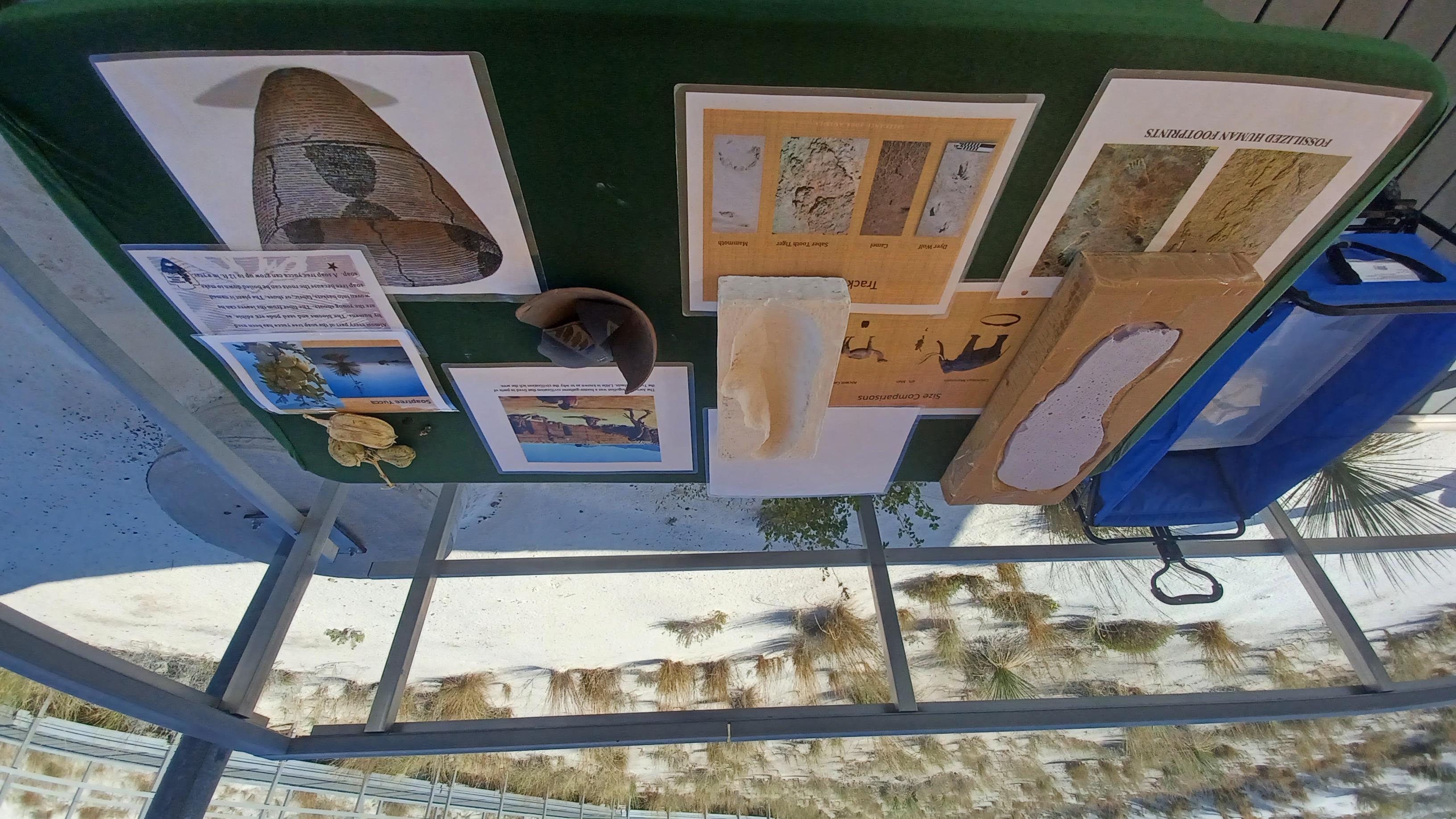 Images of different ice age animal tracks and artifacts sit upon a table in the shade along a trail.
