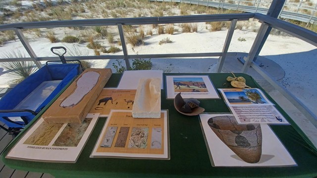 Images of different ice age animal tracks and artifacts sit upon a table in the shade along a trail.