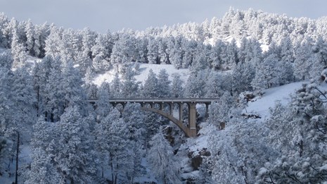 A bridge stands within a ponderosa pine forest in the snow.