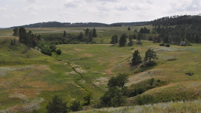Spanning view of forest merging into prairie hills