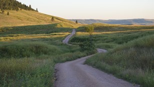 A road snakes into the distance surrounded by green prairie.