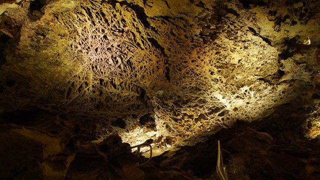 a grid shaped cave formation covering a cave room ceiling