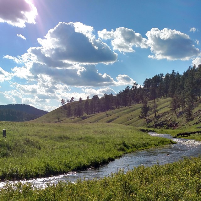 meadow stream winding across a grassy valley surrounded by tree covered hills