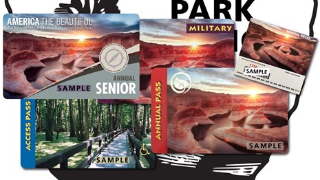 Many cards featuring natural landscapes of sandstone and green swamp lands