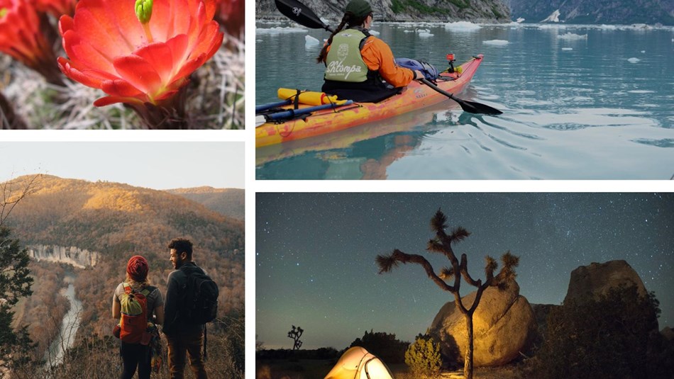 Collage of various wilderness areas, people, and scenery in the National Park Service.