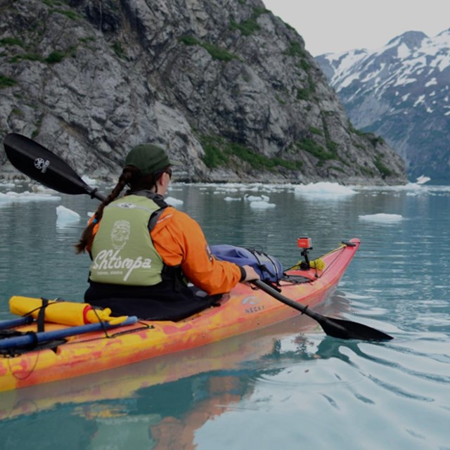 Kayaker in a cove with small icebergs visible.