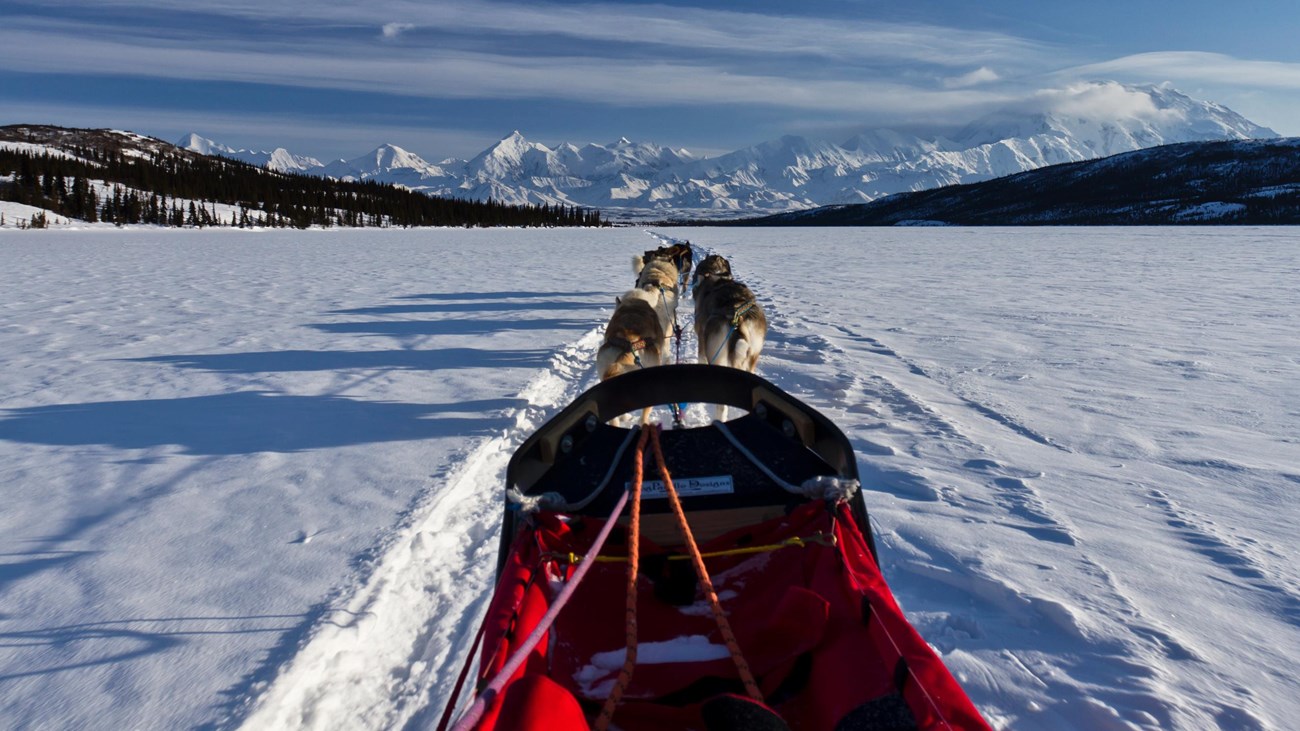 View of dog team from sled across snowy valley