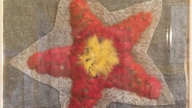 Star made of feathers, on display at Belmont-Paul National Monument. Photo by Megan Springate.
