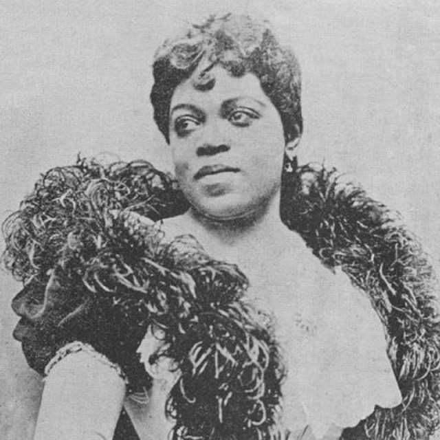 African American woman wearing gown and boa