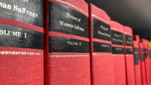 A row of red books on a shelf.