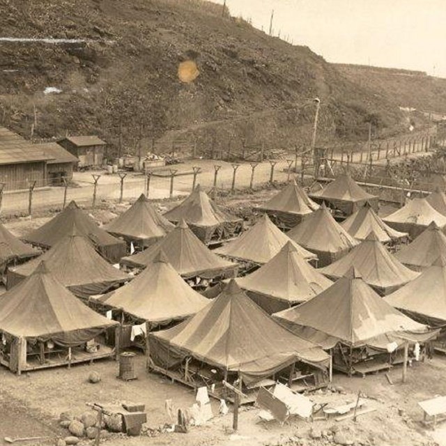1940s photo showing large platform tents in rows inside a fence