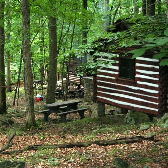 a wood cottage on right, woods on left