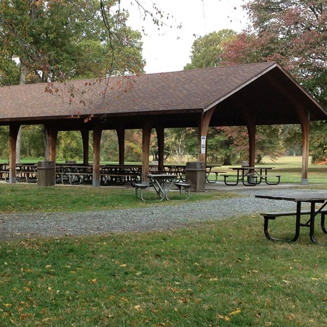 a picnic pavilion on right; tree on left