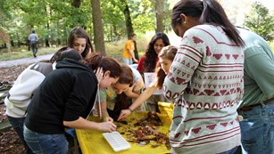 Students conduct environmental science research in the park.