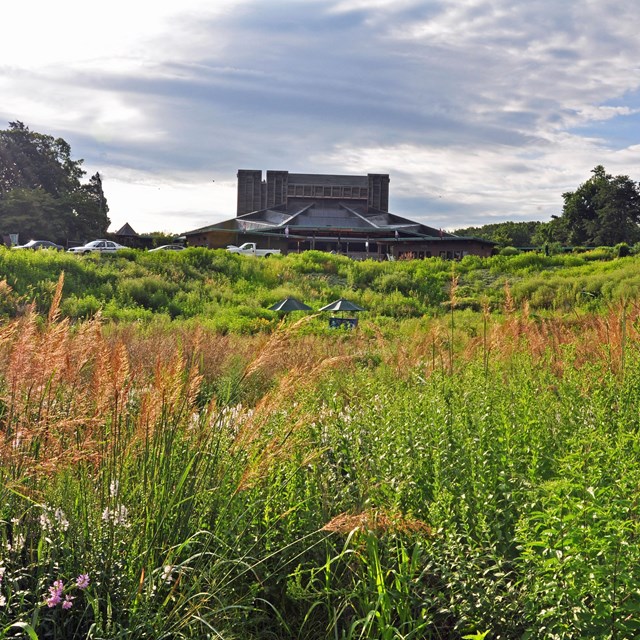 The Filene Center in the background and fenced native garden in the foreground