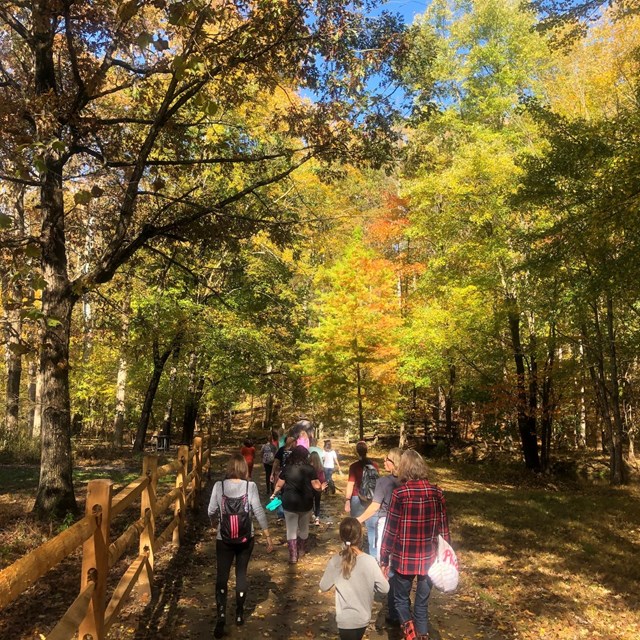 A group hikes through the woods of Wolf Trap during autumn.