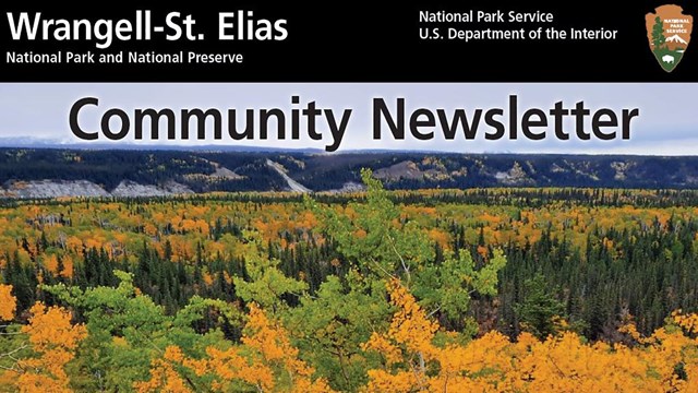 Community Newsletter Fall 2021 banner image with yellow Aspen trees in the Copper River Valley