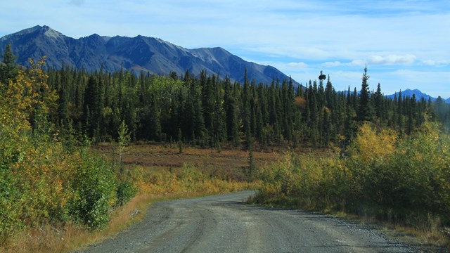 Nabesna Road