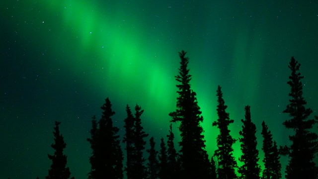 colorful bands of green light in the night sky