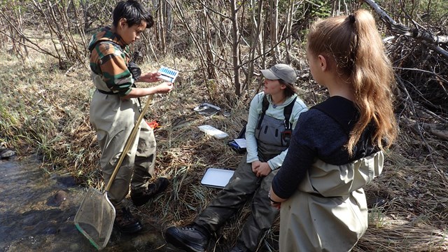 youth conducting stream survey