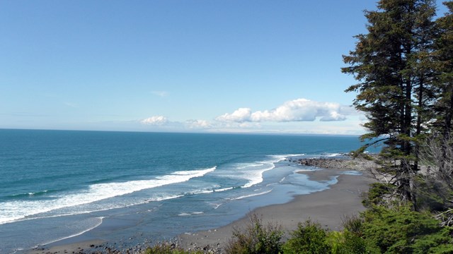 Yakutat Bay coastline