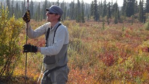 CAKN Physical Scientist probing a bog near Tanada Lake Trail to determine permafrost thaw depth.