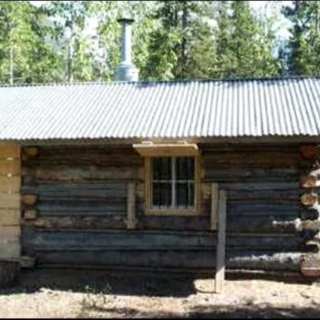 A wood cabin surrounded by trees in the backcountry.