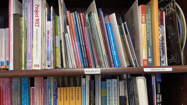Close-up of two bookshelves filled with books 
