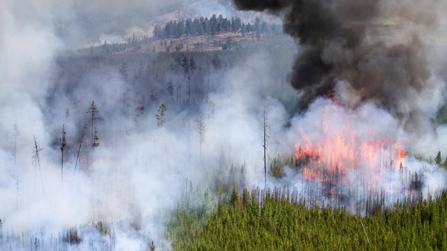 Aerial view of the Maple Fire, August 16, 2015