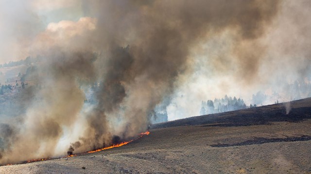 The Buffalo Fire burns through mixed sagebrush and grasses at Slough Creek