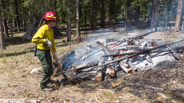 A wildfire crew stands closely by a large pile of burning logs.