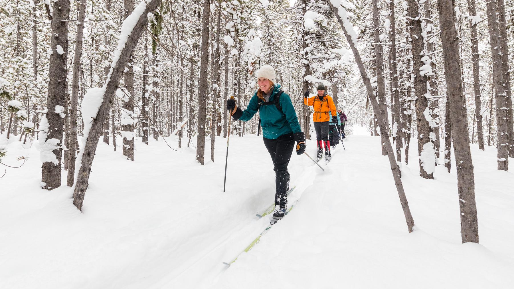 People skiing through a snowy forest.