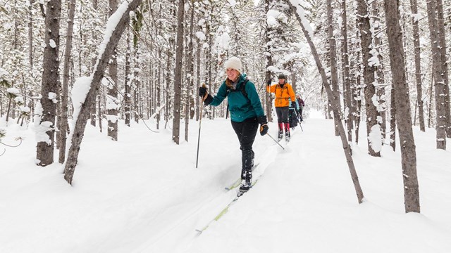 People skiing through a snowy forest.
